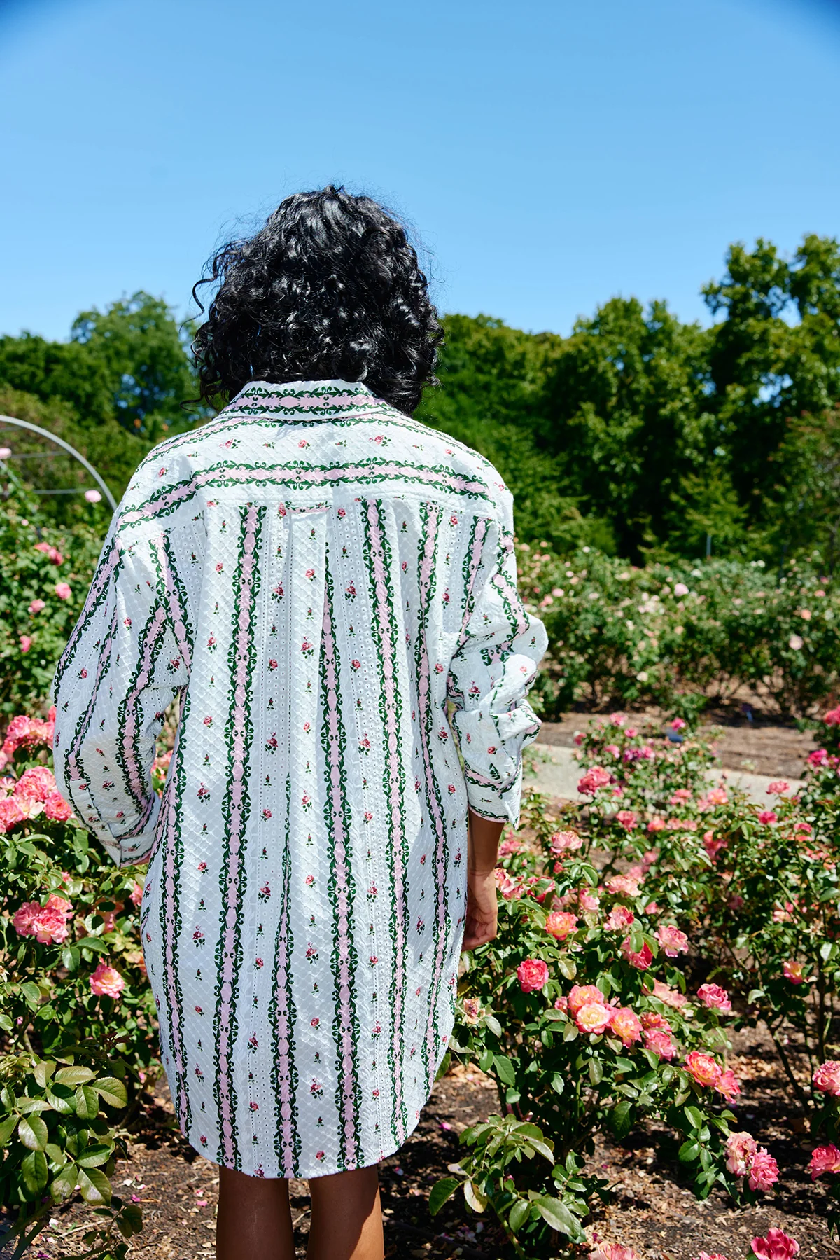 BUDDY SHIRT ANTIQUE ROSE STRIPE - Image 4