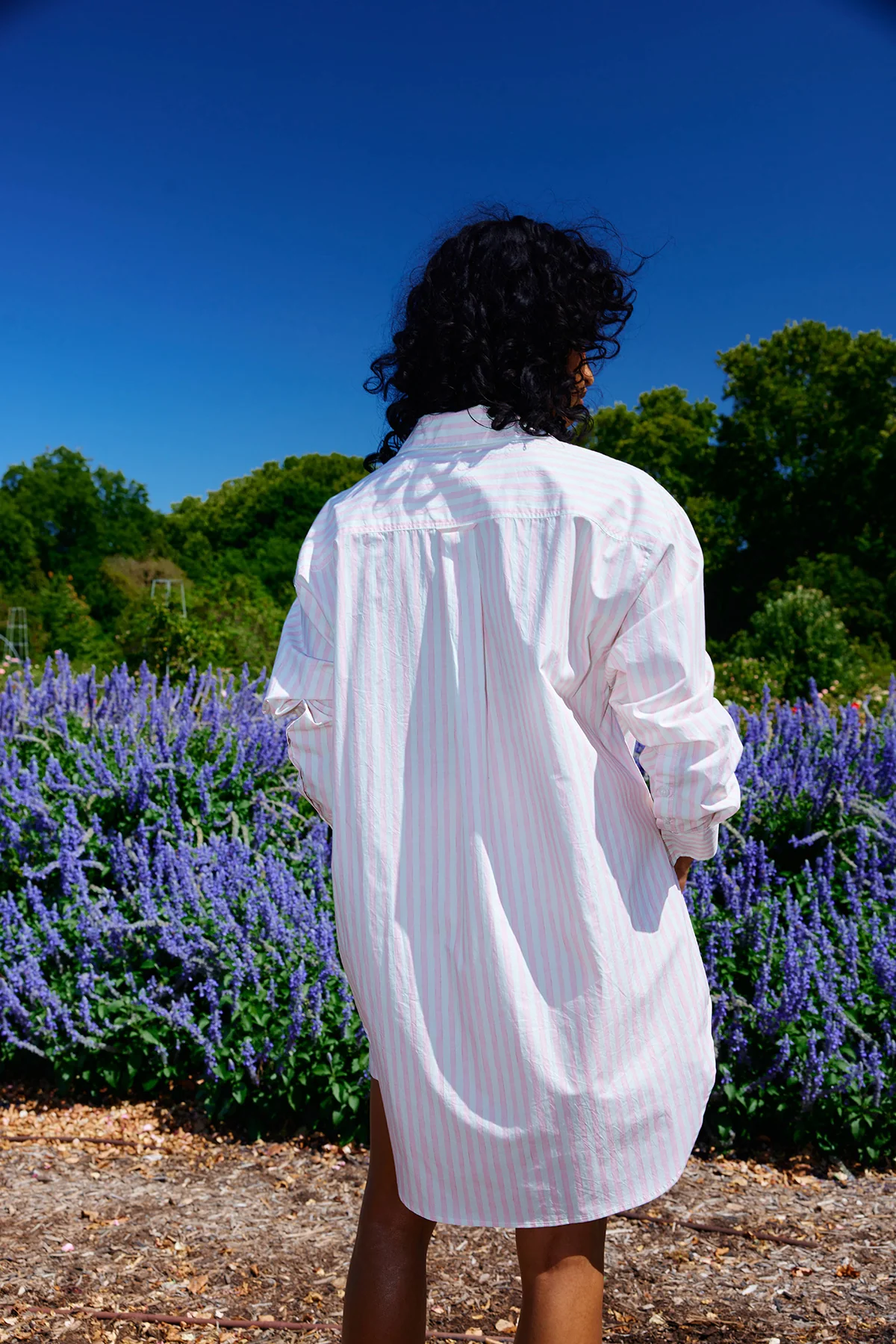 BUDDY SHIRT BABY ROSE STRIPE - Image 3